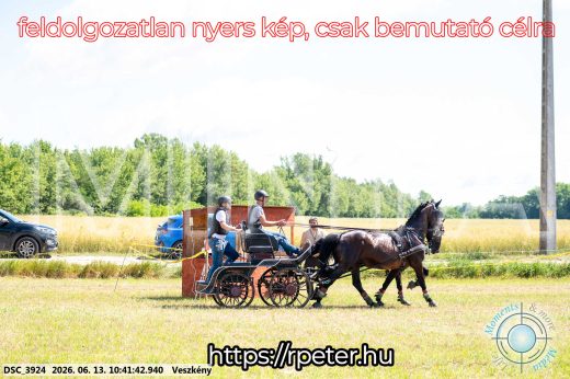 Mintakép 20260613-649
