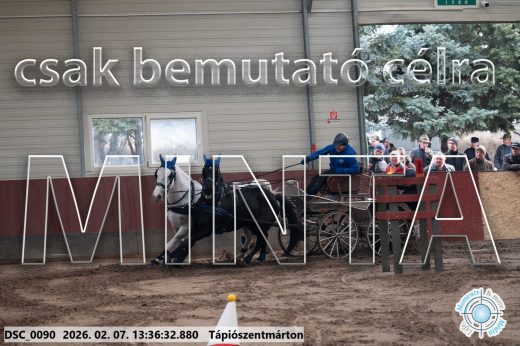 Mintakép 20260207-1100