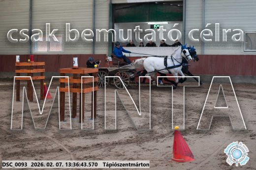 Mintakép 20260207-1103