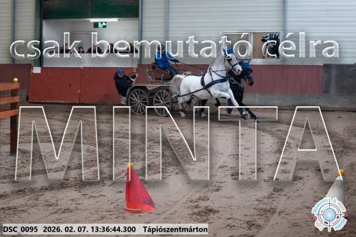 Mintakép 20260207-1104