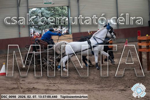 Mintakép 20260207-1106