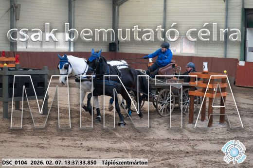 Mintakép 20260207-1110