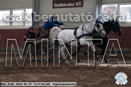 Mintakép 20260207-1111