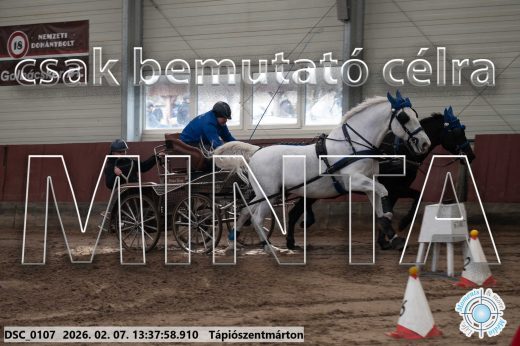 Mintakép 20260207-1112