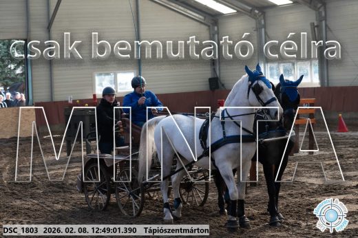 Mintakép 20260208-1842