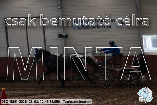 Mintakép 20260208-1844