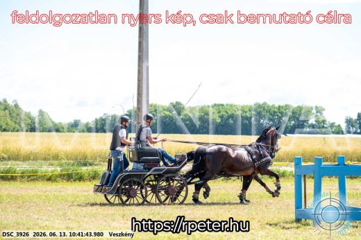 Mintakép 20260613-651