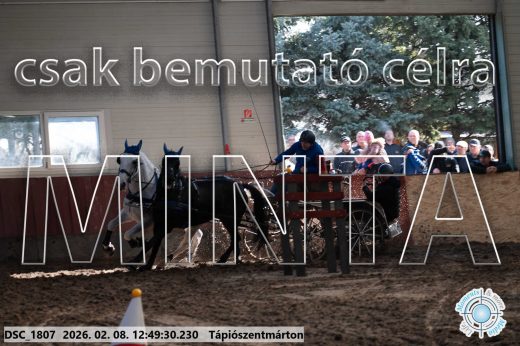 Mintakép 20260208-1846