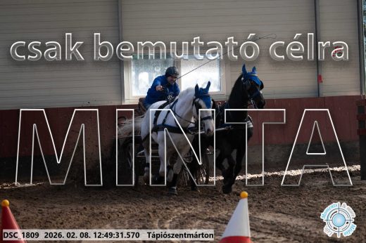 Mintakép 20260208-1847