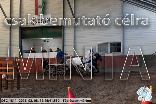 Mintakép 20260208-1849