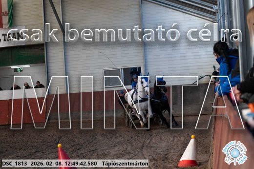 Mintakép 20260208-1851