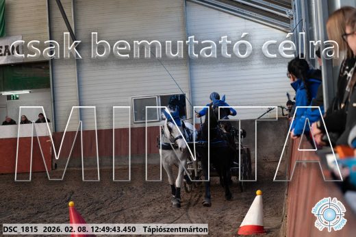 Mintakép 20260208-1853
