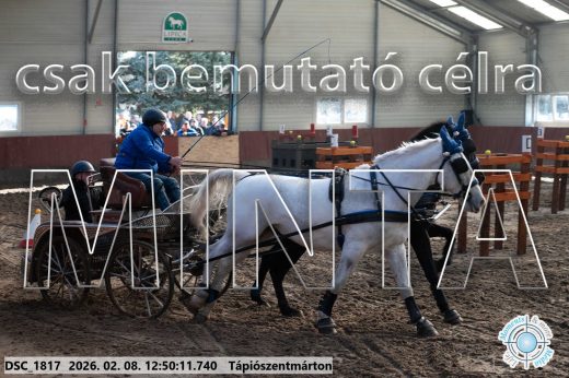 Mintakép 20260208-1854