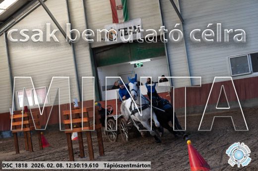 Mintakép 20260208-1855