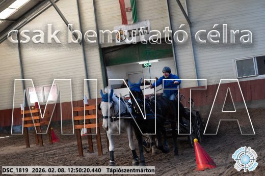 Mintakép 20260208-1856
