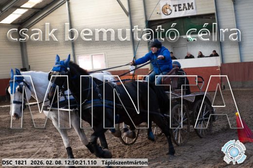 Mintakép 20260208-1858