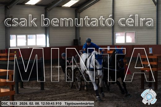 Mintakép 20260208-1860
