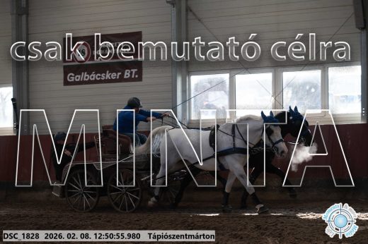 Mintakép 20260208-1862