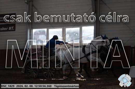 Mintakép 20260208-1863