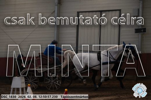 Mintakép 20260208-1864