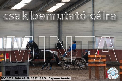 Mintakép 20260208-1866