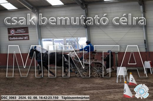 Mintakép 20260208-1870