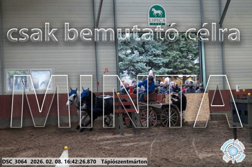 Mintakép 20260208-1871