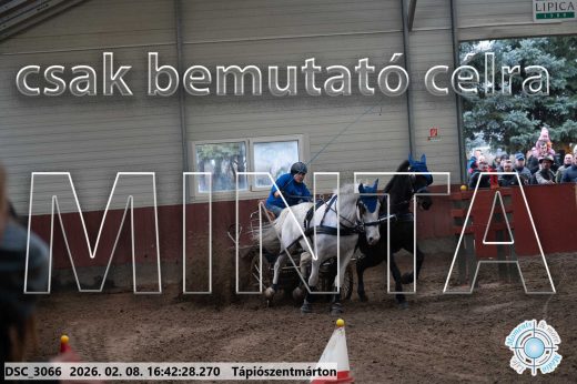 Mintakép 20260208-1873