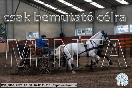 Mintakép 20260208-1875