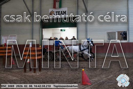 Mintakép 20260208-1876