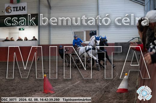 Mintakép 20260208-1878