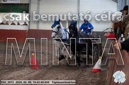 Mintakép 20260208-1879