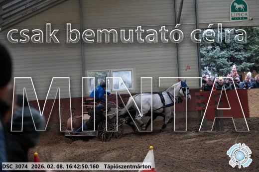 Mintakép 20260208-1881