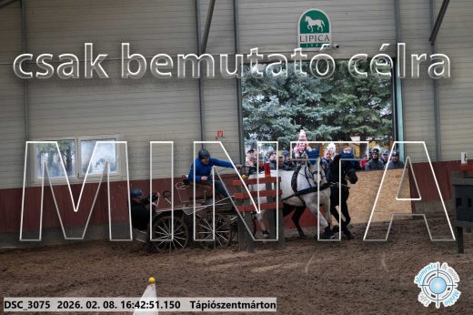 Mintakép 20260208-1882