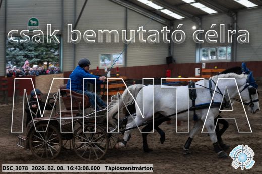 Mintakép 20260208-1885