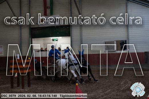 Mintakép 20260208-1886