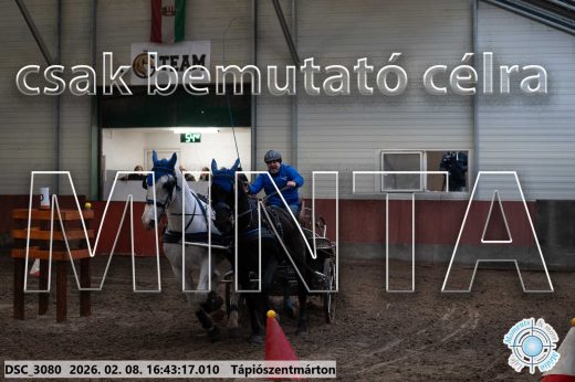 Mintakép 20260208-1887