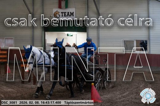 Mintakép 20260208-1888