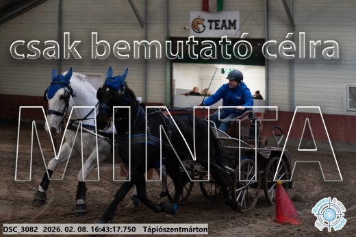 Mintakép 20260208-1889