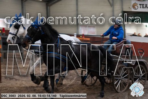 Mintakép 20260208-1890