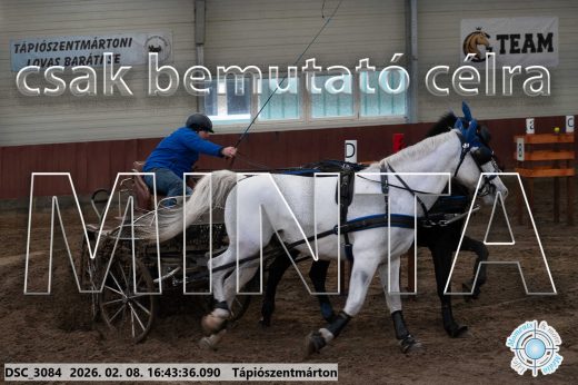 Mintakép 20260208-1891