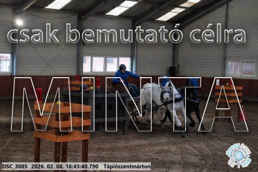 Mintakép 20260208-1892