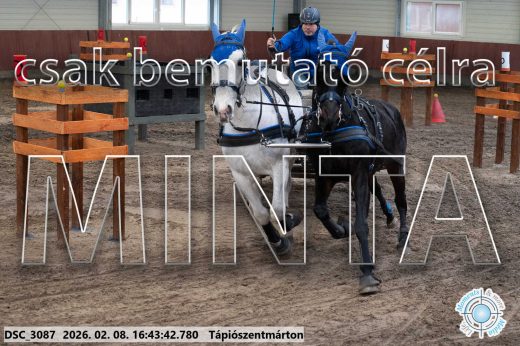 Mintakép 20260208-1894