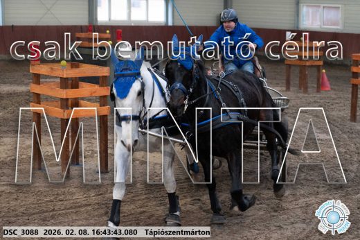 Mintakép 20260208-1895