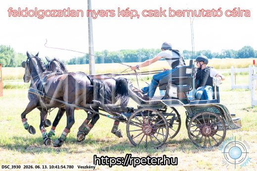 Mintakép 20260613-656