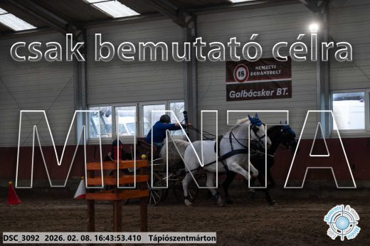 Mintakép 20260208-1897