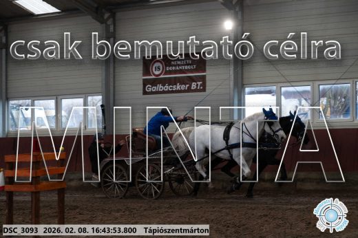 Mintakép 20260208-1898