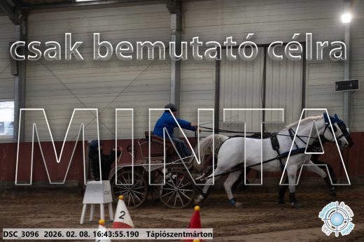 Mintakép 20260208-1900