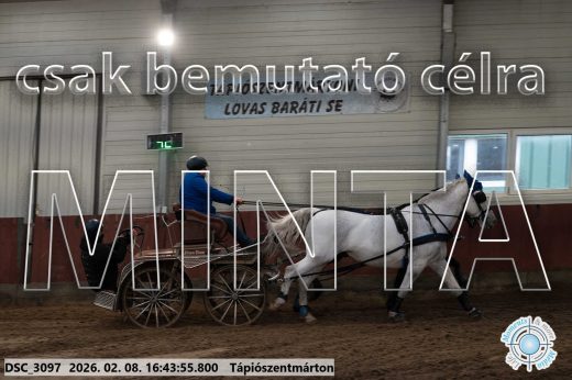 Mintakép 20260208-1901