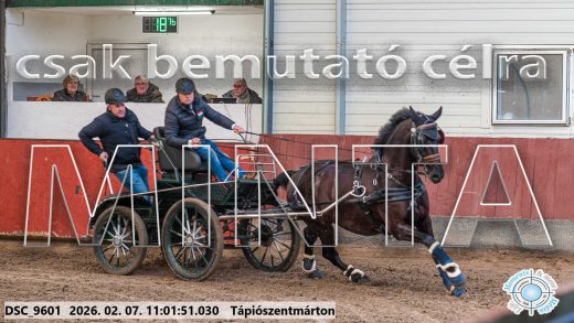 Mintakép 20260207-1119